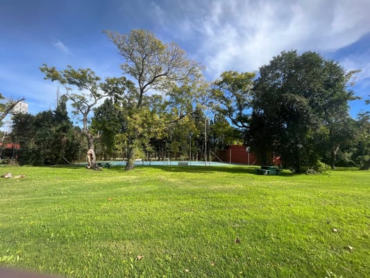 Terreno — foto 7
