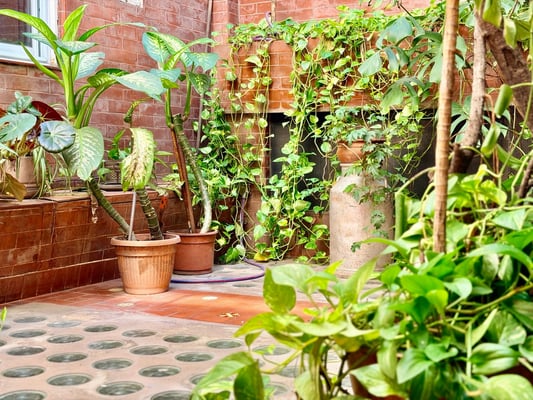 Departamento — foto 5