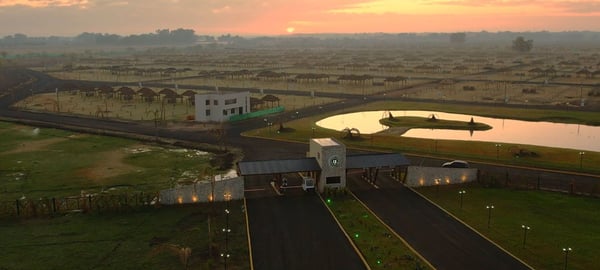 Terreno — foto 6
