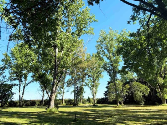 Terreno — foto 4