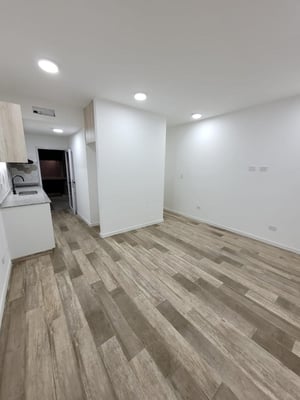 PH 2 Ambientes Reciclado a Nuevo con Patio y Parrilla — foto 5