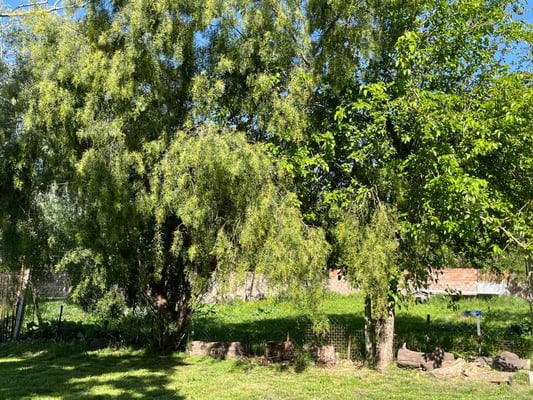 VENTA LOTE  VILLA ROSA PILAR — foto 5