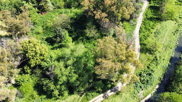 Venta de lote La Lonja Pilar — foto 3