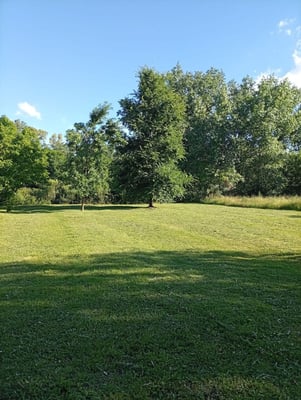 VENTA LOTE GRAL RODRIGUEZ 774 METROS CUADRADOS — foto 3