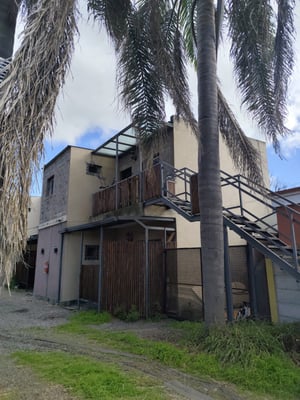 Complejo 10 departamentos en venta — foto 3