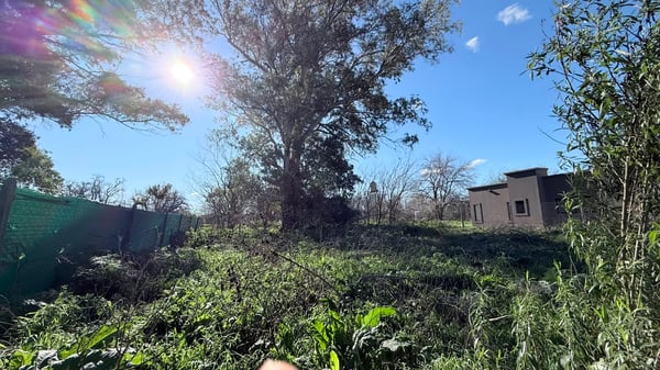 Terreno — foto 6