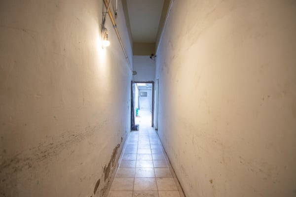 PH — foto 4