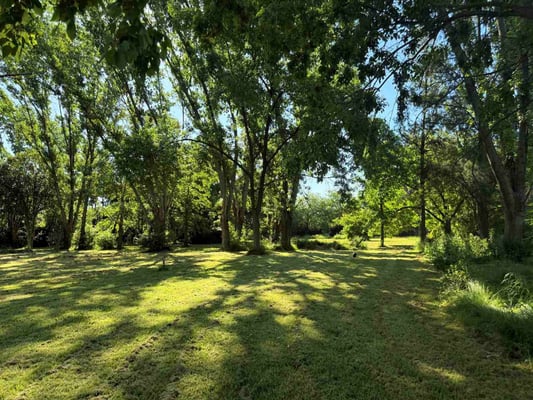 Terreno — foto 6