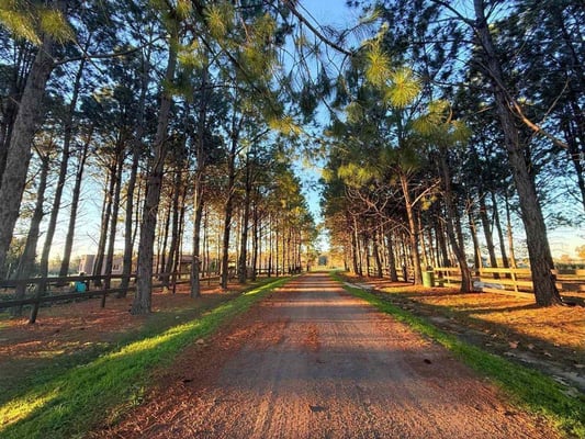 Venta Lote 1 Ha Estancia La Macarena Chacra — foto 2