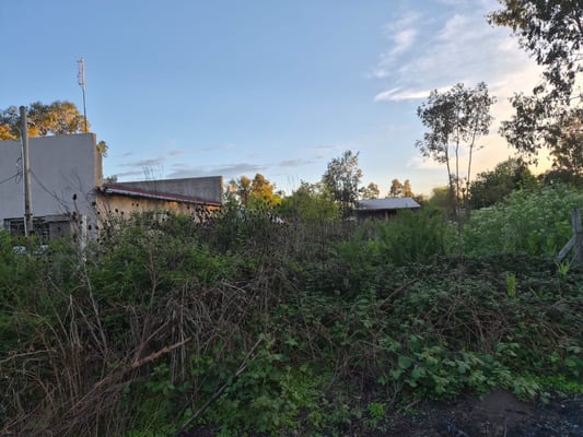 VENTA LOTE Gral RODRIGUEZ 712 m2 — foto 5