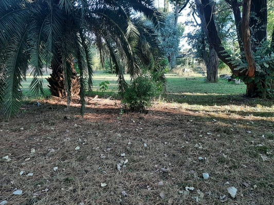 Terreno Lote Exaltacion de la Cruz Pque Exaltacion — foto 3