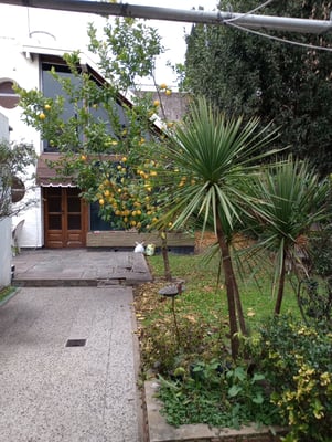 Venta casa 4 amb. Flipping + casa 2 amb. entrada independiente. V. Ballester — foto 2