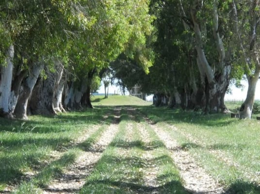 Terreno — foto 4
