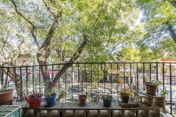 VENTA 3 AMBIENTES MAS ESTUDIO EN COLEGIALES — foto 5