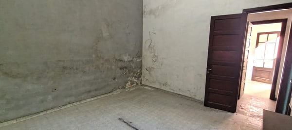 PH — foto 7