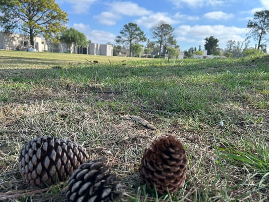 Terreno — foto 5
