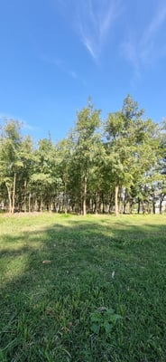 Terreno — foto 7