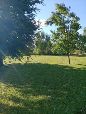 VENTA LOTE GRAL RODRIGUEZ 774 METROS CUADRADOS — foto 2