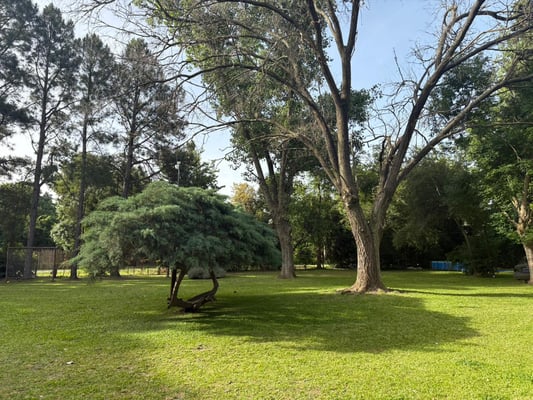 Terreno — foto 8