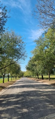 Terreno — foto 6