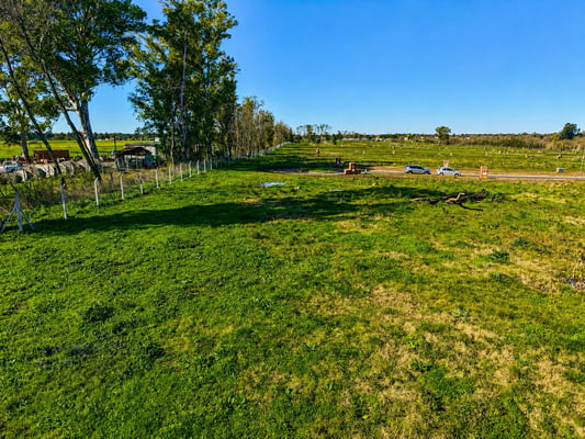 Terreno — foto 1
