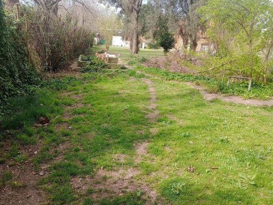 Lote en esquina 883m2 escriturado en Tortuguitas — foto 4
