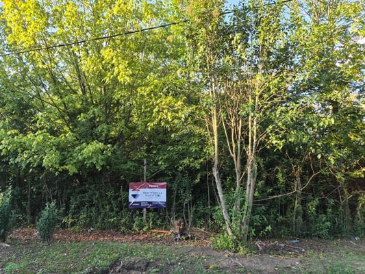 Venta Terreno Gral Rodriguez — foto 4