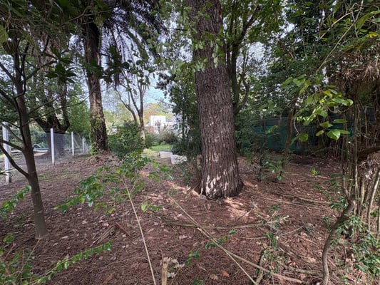 Terreno — foto 8