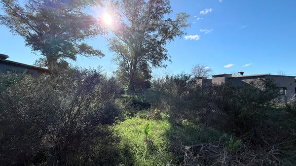Terreno — foto 5