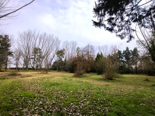 Terreno — foto 1