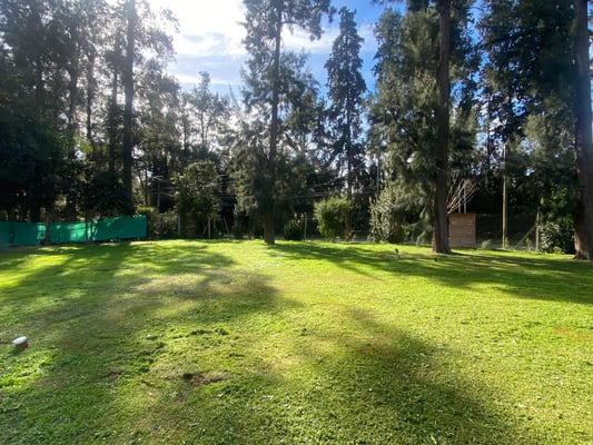VENTA LOTE EN BARRIO CERRADO LA RESERVA , INGENIERO MASCHWITZ, BENAVIDEZ — foto 3