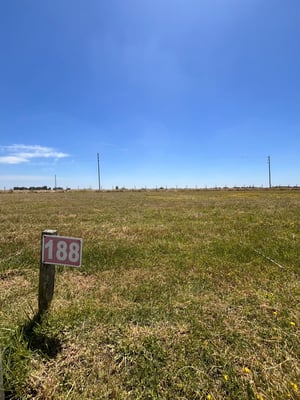 Terreno — foto 7