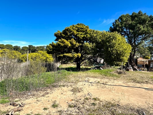 Lote en venta  Las Gaviotas  Partido de Villa Gesell — foto 5