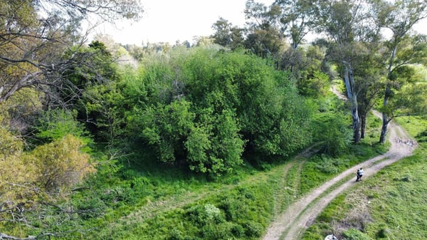 Venta de lote La Lonja Pilar — foto 4
