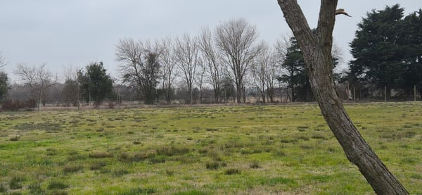 Terreno — foto 5