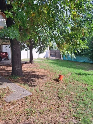 VENTA 2 LOTES CASA PILETA DE VICENZO GR. PILAR  E — foto 3