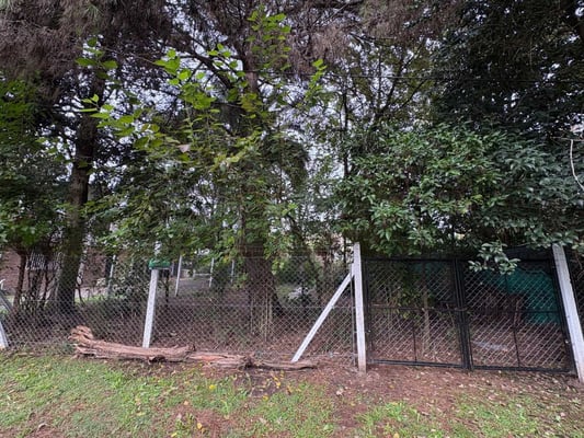 Terreno — foto 7