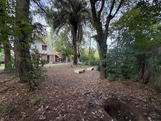 Terreno — foto 6