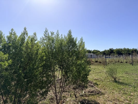 Terreno — foto 6