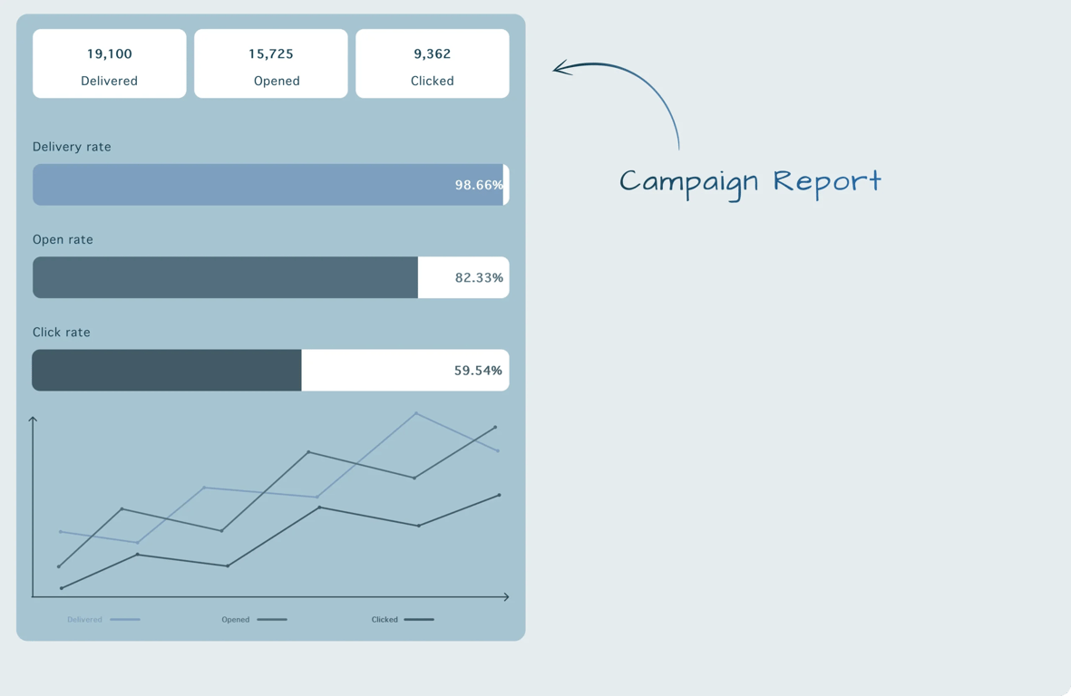 campaign report