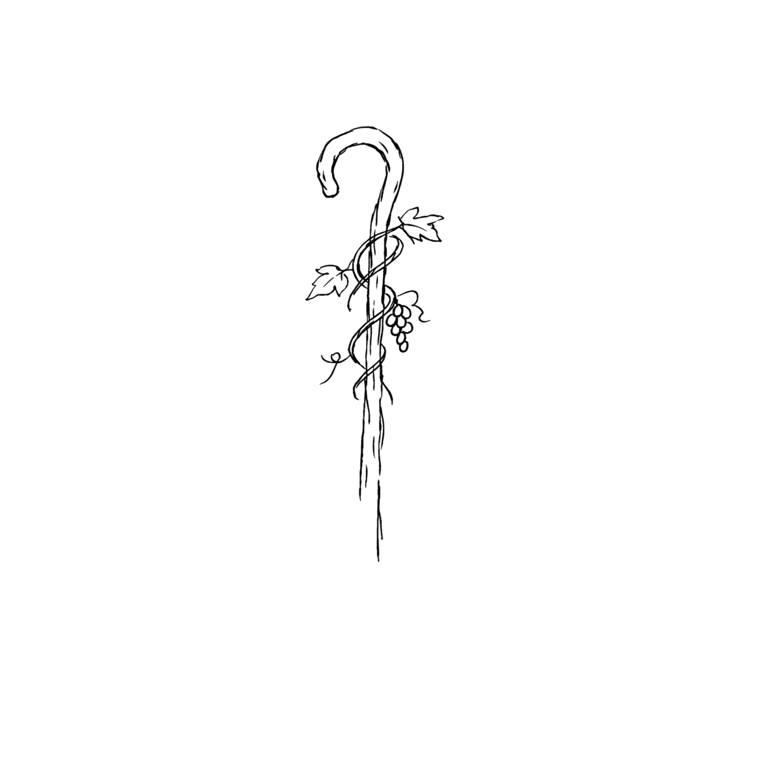 Jesus the True Vine artwork