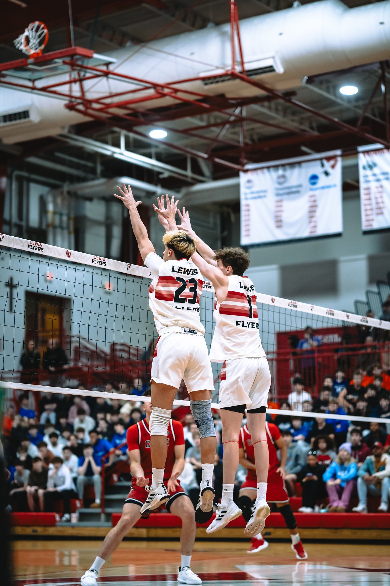 Lewis Flyers vs CSUN