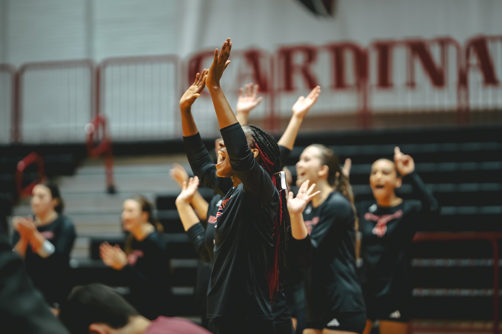 WVB - North Central vs Carthage