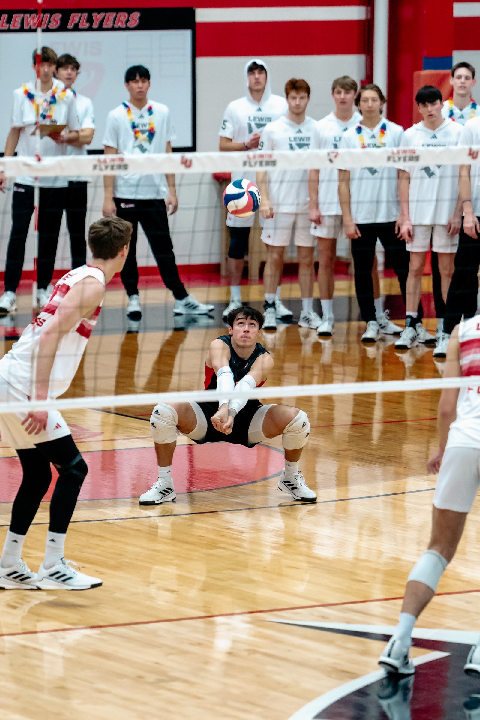 2024 Men's VB - Lewis vs Lindenwood