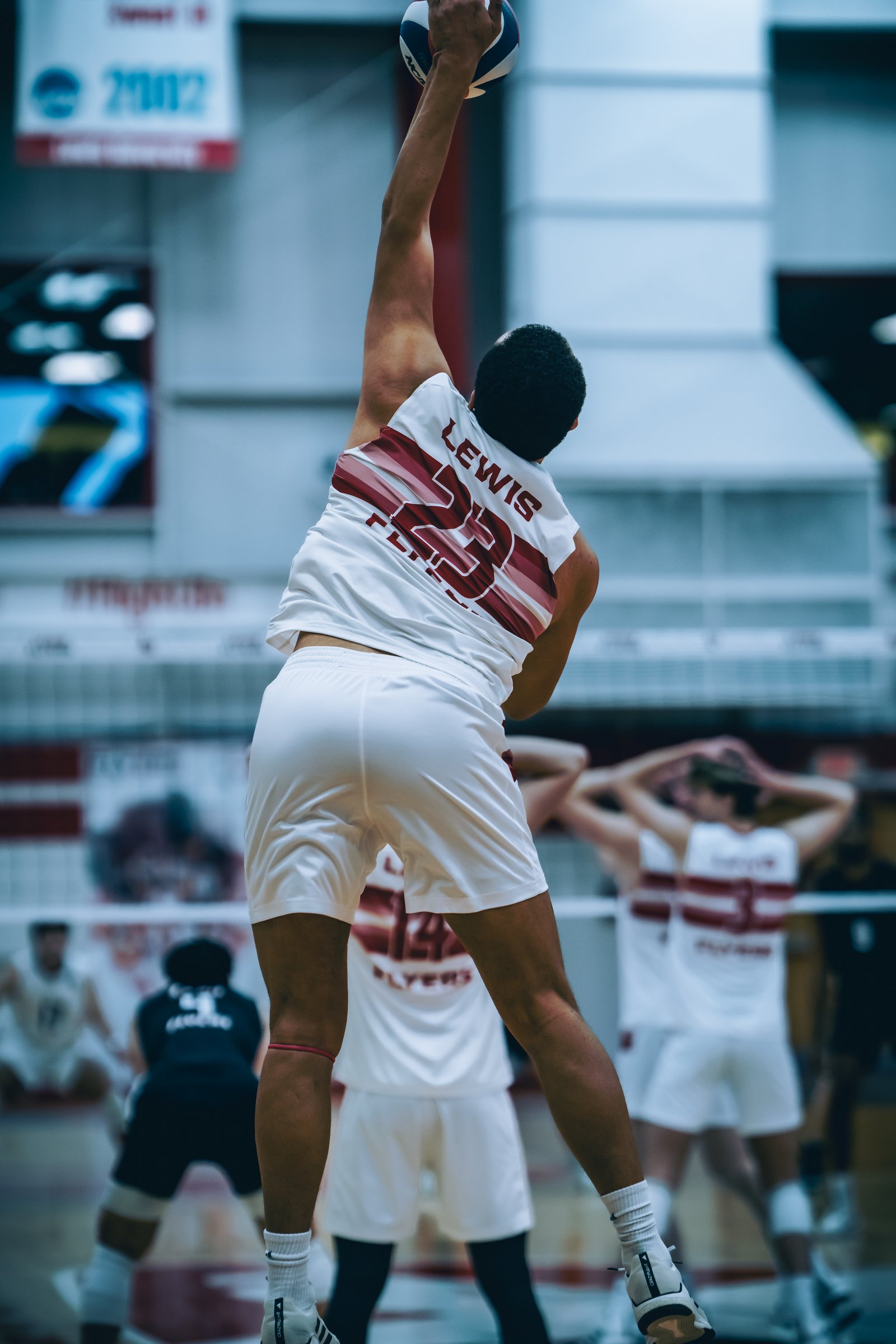 2024 Men's VB - Lewis vs Lindenwood