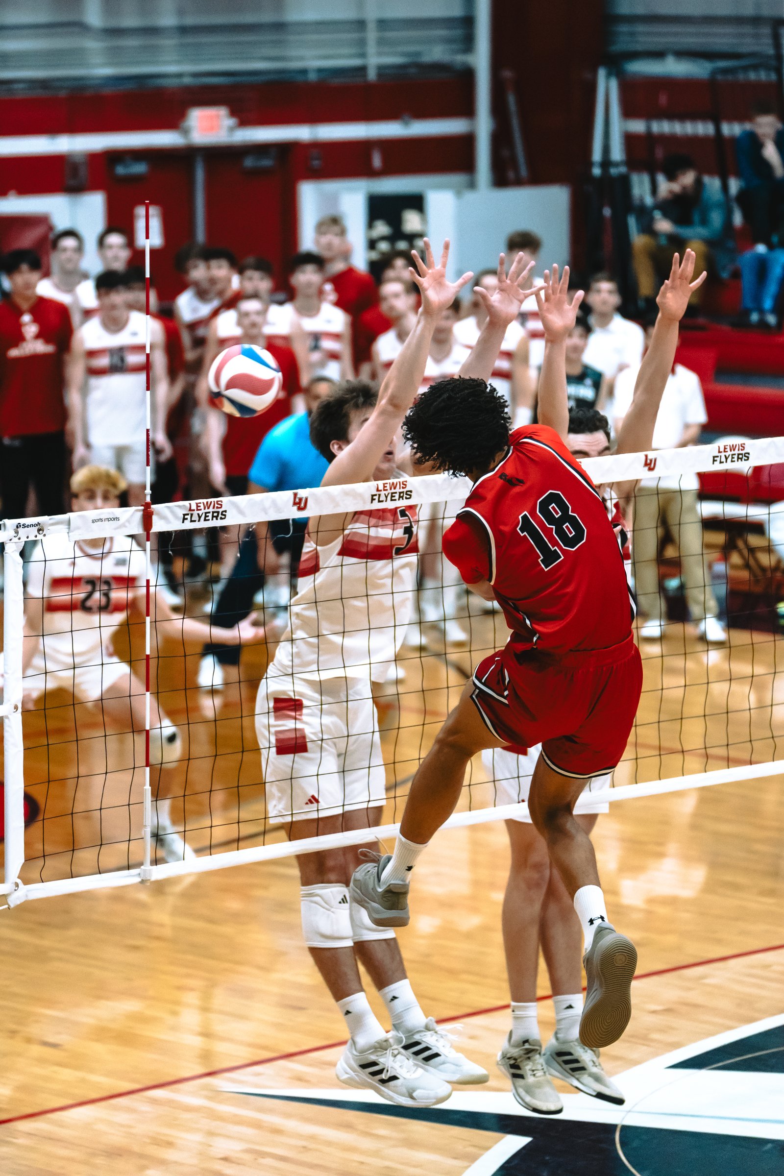 Lewis Flyers vs CSUN