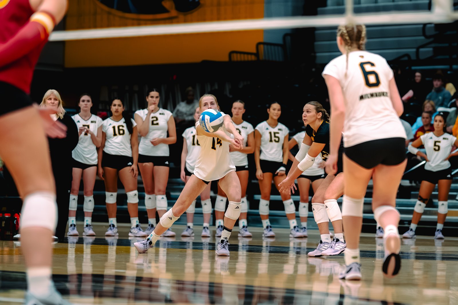 UW-Milwaukee Panther Invite