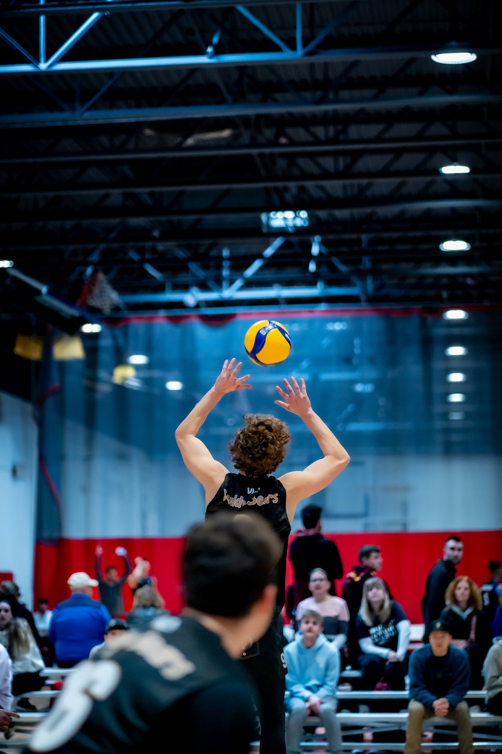 VLA Central Cup - Buddy Bear