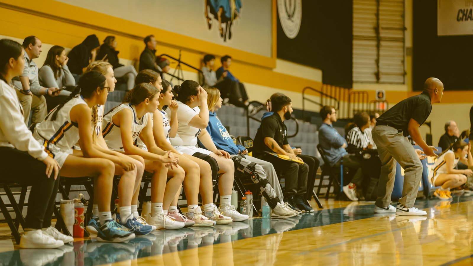ACC Girl's Basketball 28-Nov - Nov 30