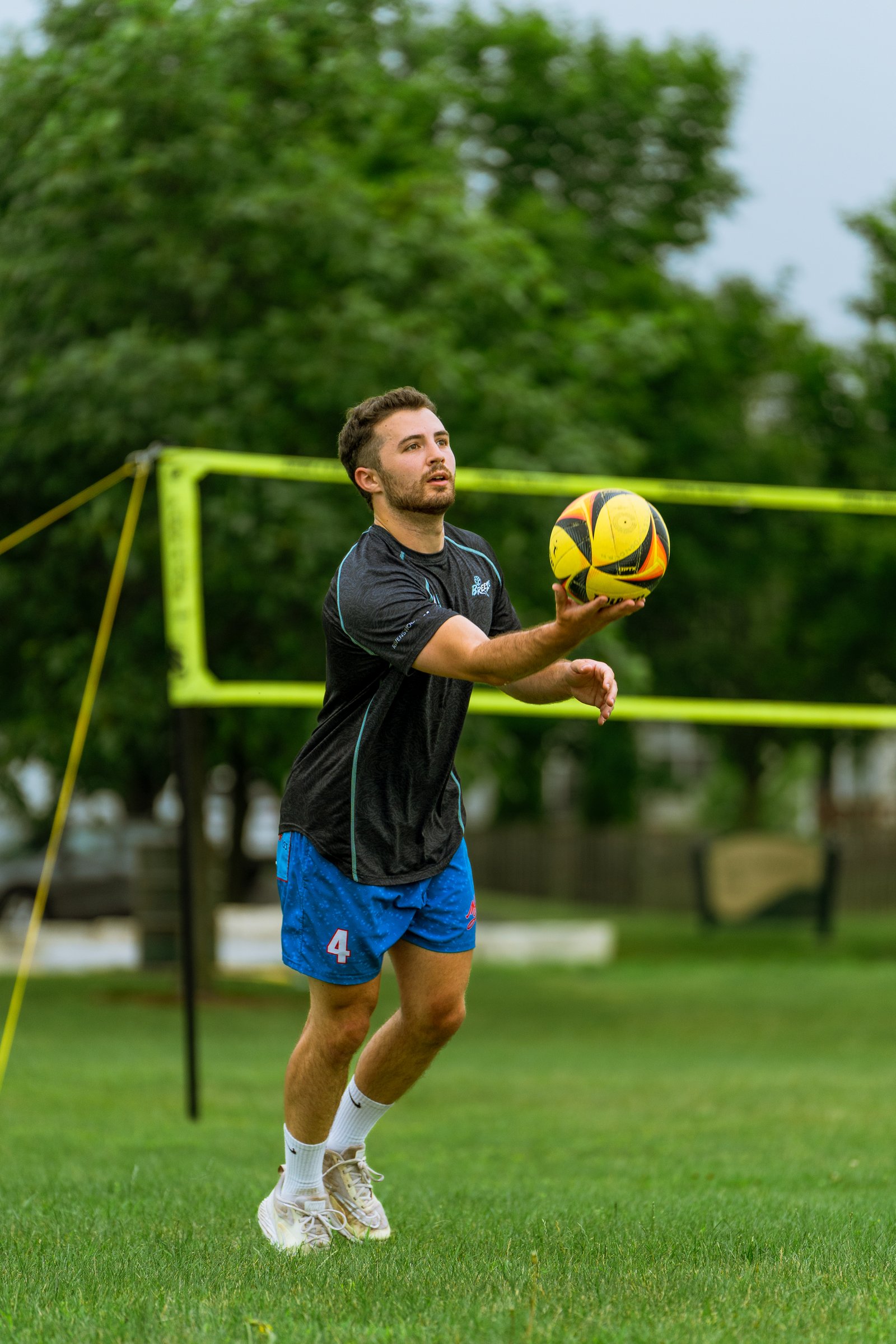 Bell Pepper Open – Official Gallery